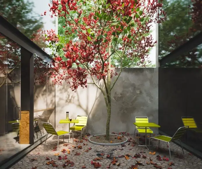 portada-foto-sanber studio